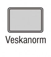 PODNOS GOLD VESKANORM 530×375 - ABNER - Jídelní podnosy pro gastronomii