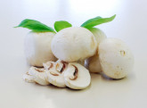 Čaraka houbové koření 500g Kasia - - Koření - Kořenící směsi